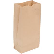 Paper carrier bags no. 10 pkd in 100pcs