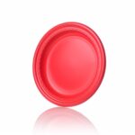 25pc - 10'' Coloured Plastic Plate / 20pks per case