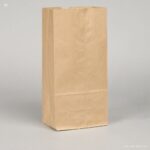 100pcs - 10LB Brown Paper Bags/20pks per case