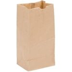 100pcs - 4lb Brown Paper Bags/20pks per case