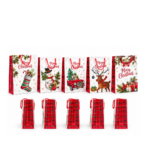 Christmas Print Gift Bag Assorted Patterns